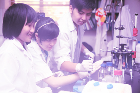 Định hướng nghề nghiệp là một trong các nhiệm vụ chủ yếu năm học 2016 - 2017 của ngành Giáo dục Định hướng nghề nghiệp là một trong các nhiệm vụ chủ yếu năm học 2016 - 2017 của ngành Giáo dục