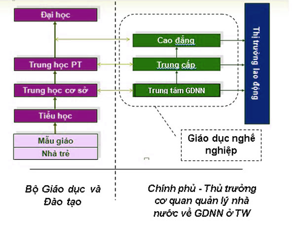 Cao đẳng nghề hay cao đẳng chuyên nghiệp, trung cấp nghề hay trung cấp chuyên nghiệp? Cao đẳng nghề hay cao đẳng chuyên nghiệp, trung cấp nghề hay trung cấp chuyên nghiệp?